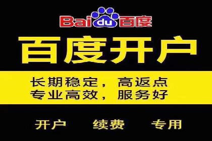 高效营销利器——百度竞价代理实操案例